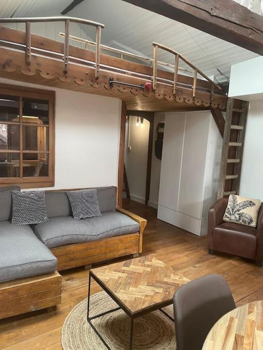 Appartement Plein De Charme - Coeur Vieille Ville آنسي المظهر الخارجي الصورة